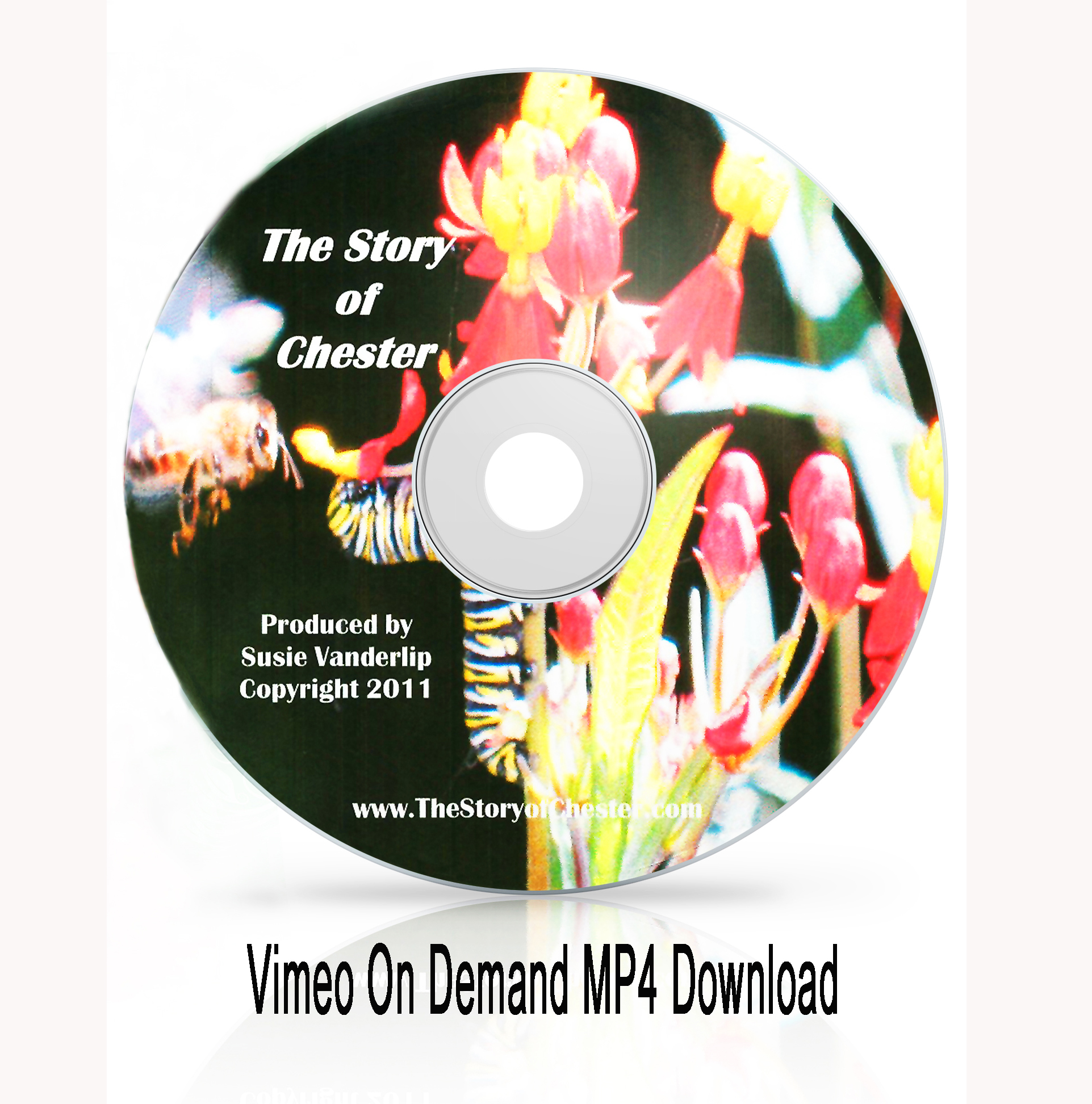 3 The Story of Chester MP4 Download